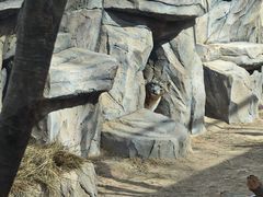 -青藏高原野生动物园