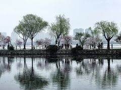 -无锡蠡湖国家湿地公园-蠡园
