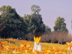 -秀丽东方