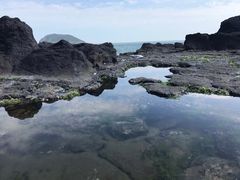 -漳州滨海火山岛自然生态风景区
