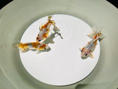 -三越百货(三越银座店)