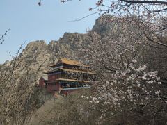-辛安庄鸡鸣山景区