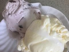 双色雪球-芬芳甜品(同福路店)