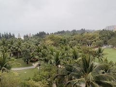 -海南清水湾莱佛士酒店