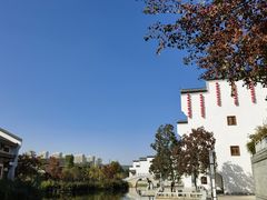 -洋湖国家湿地公园