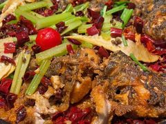 -老板恋上鱼(印象城店)