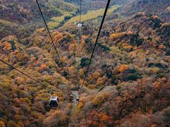 -光雾山旅游景区