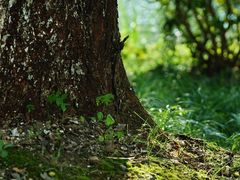 -浙江万里学院(钱湖校区)