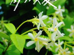 -成都南湖公园