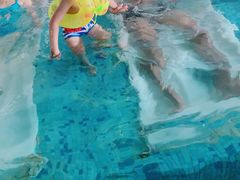 -晋爵会游泳馆(海湾公园店)