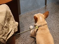 -常熟路(地铁站)