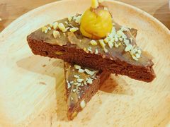 -柴务处·柴犬主题狗咖