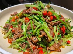 -安天民北方饺子(白石洲店)