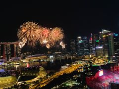 -新加坡瑞士史丹福酒店