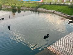 -华谊兄弟（长沙）电影小镇