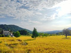 -塔川景区