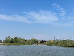 -宁波杭州湾国家湿地公园