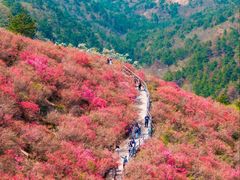 -木兰云雾山