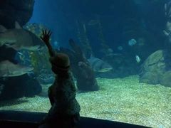 -暹罗海洋世界
