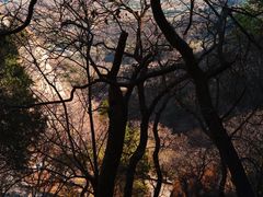 -鹫峰国家森林公园