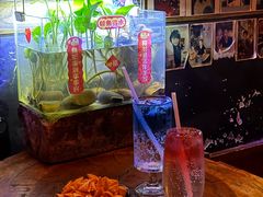 -民谣未来吧