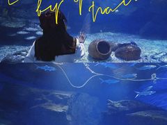 -海合安武汉极地海洋公园
