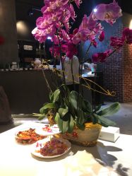 大厅-Kraemer Paris  苏豪路易士·嘉玛发廊