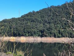 -广州市流溪河国家森林公园