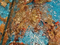 -百富源·海鲜辽菜(和平北大街店)