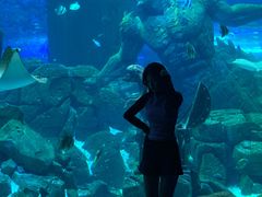 -哈尔滨波塞冬海底世界