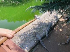 -石家庄市动物园