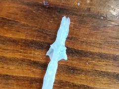 -鲜椒鱼·雅安地标性美食