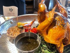 -一棵树·意大利西餐厅One Tree(新城店)