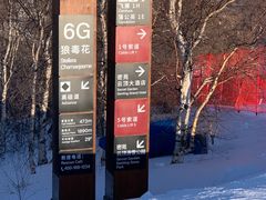 -密苑云顶乐园(云顶滑雪场)