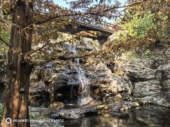 -国家植物园南园