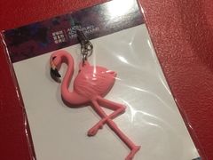 -爱丽丝冒险奇遇记