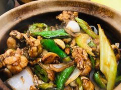 啫啫牛蛙-汤氏美食台山水步特色黄鳝饭(龙津东路店)