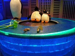 -北方暖暖温泉洗浴(沈阳北站店)