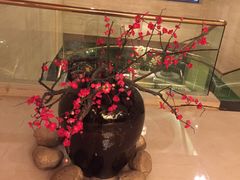 -天港禧悦酒店(宁波东部新城国际会展中心店)