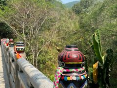 -西双版纳原始森林公园