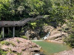 -广州白江湖森林公园