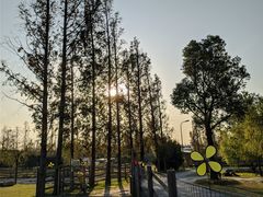 -前小桔亲子创意农场·草莓采摘·露营烧烤