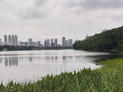 -南宁南湖公园