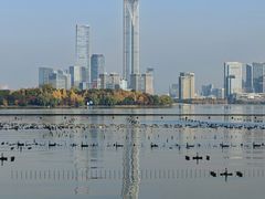 -金鸡湖景区