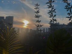 -苏梅花园(群星城店)