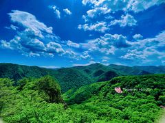 -五女峰国家森林公园