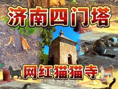 -四门塔风景区