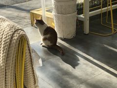 -五进制 Coffee Shop
