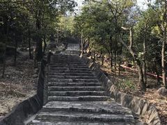 -东莞市大岭山森林公园
