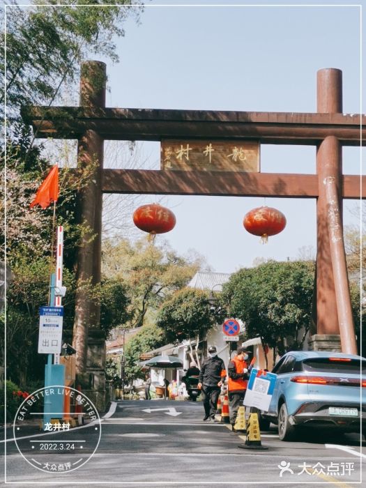 龙井村图片